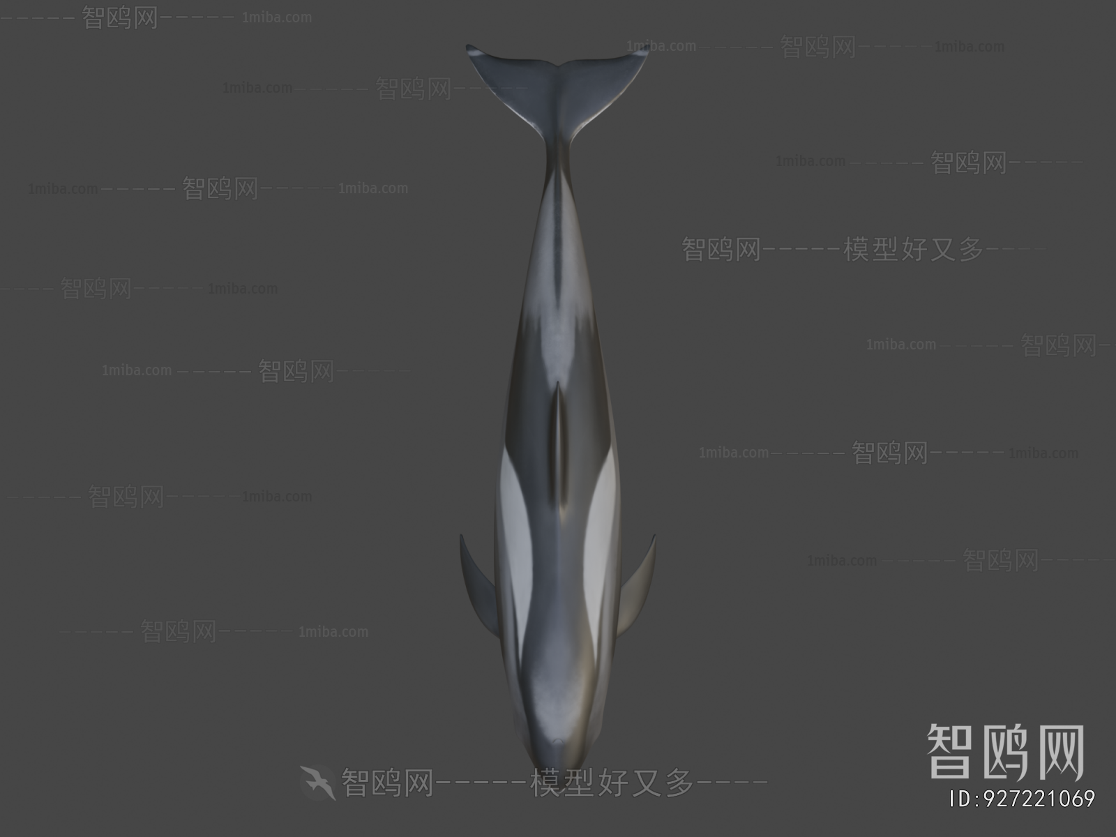 Modern Aquatic Animals