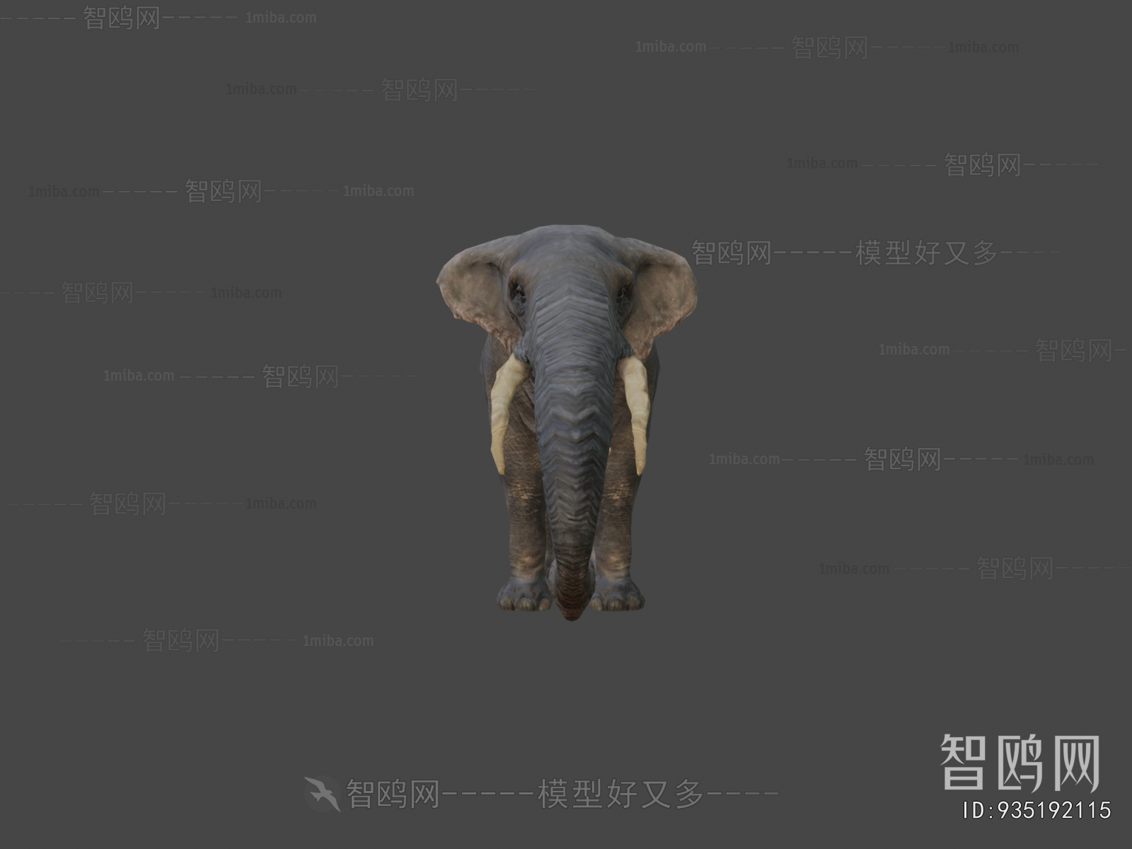 Modern Other Animals