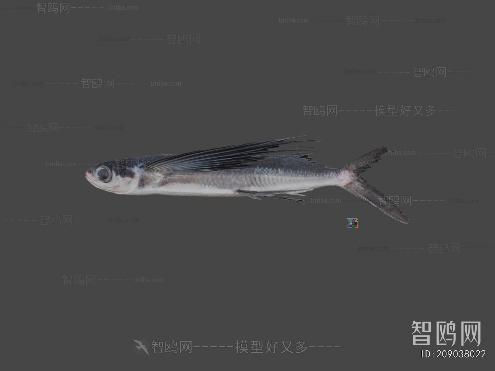 Modern Aquatic Animals