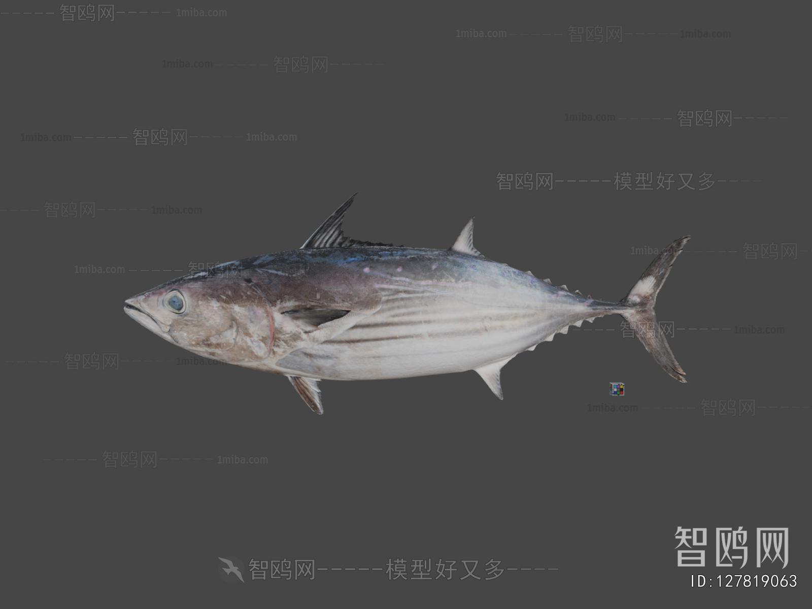 Modern Aquatic Animals