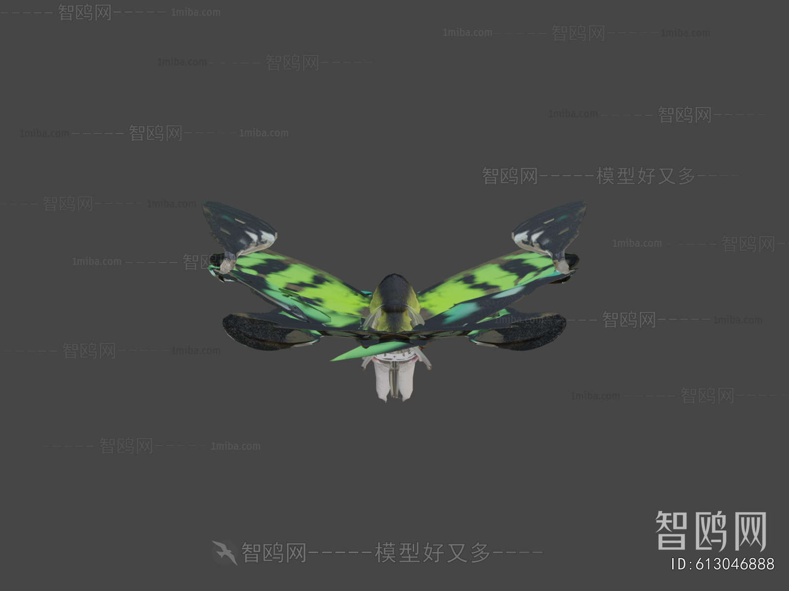 Modern Other Animals