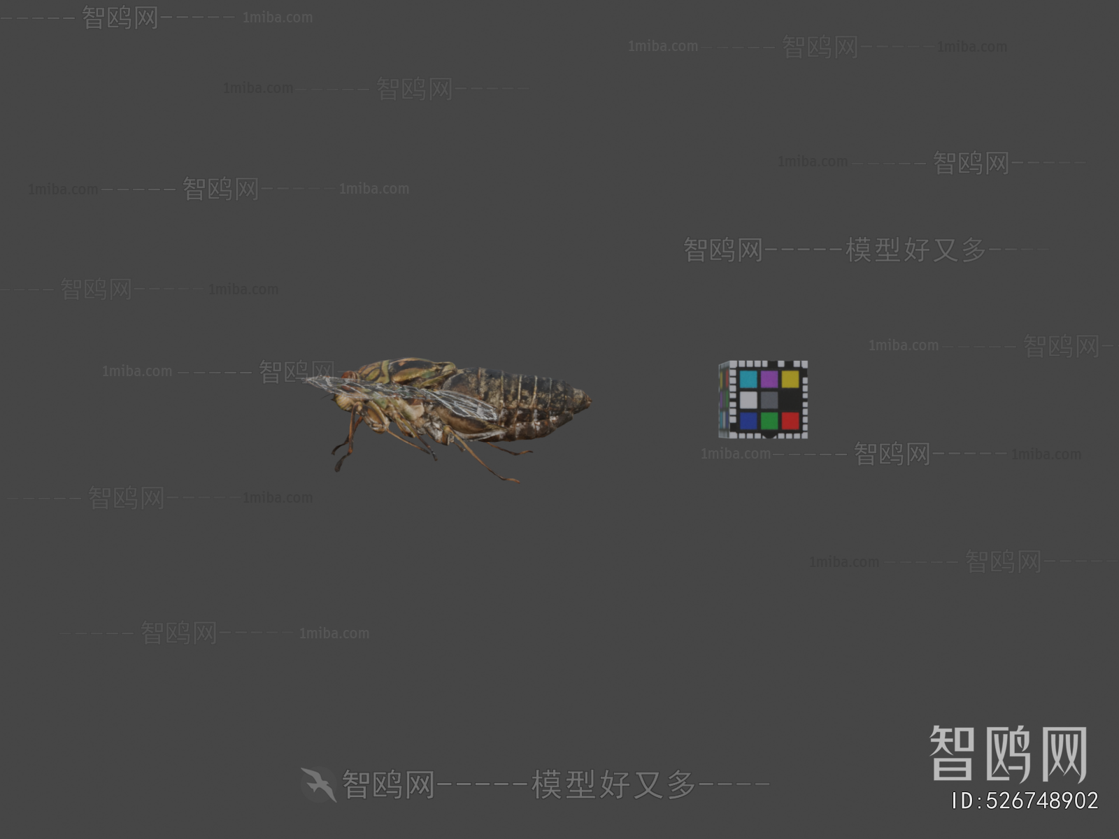 Modern Flying Animals