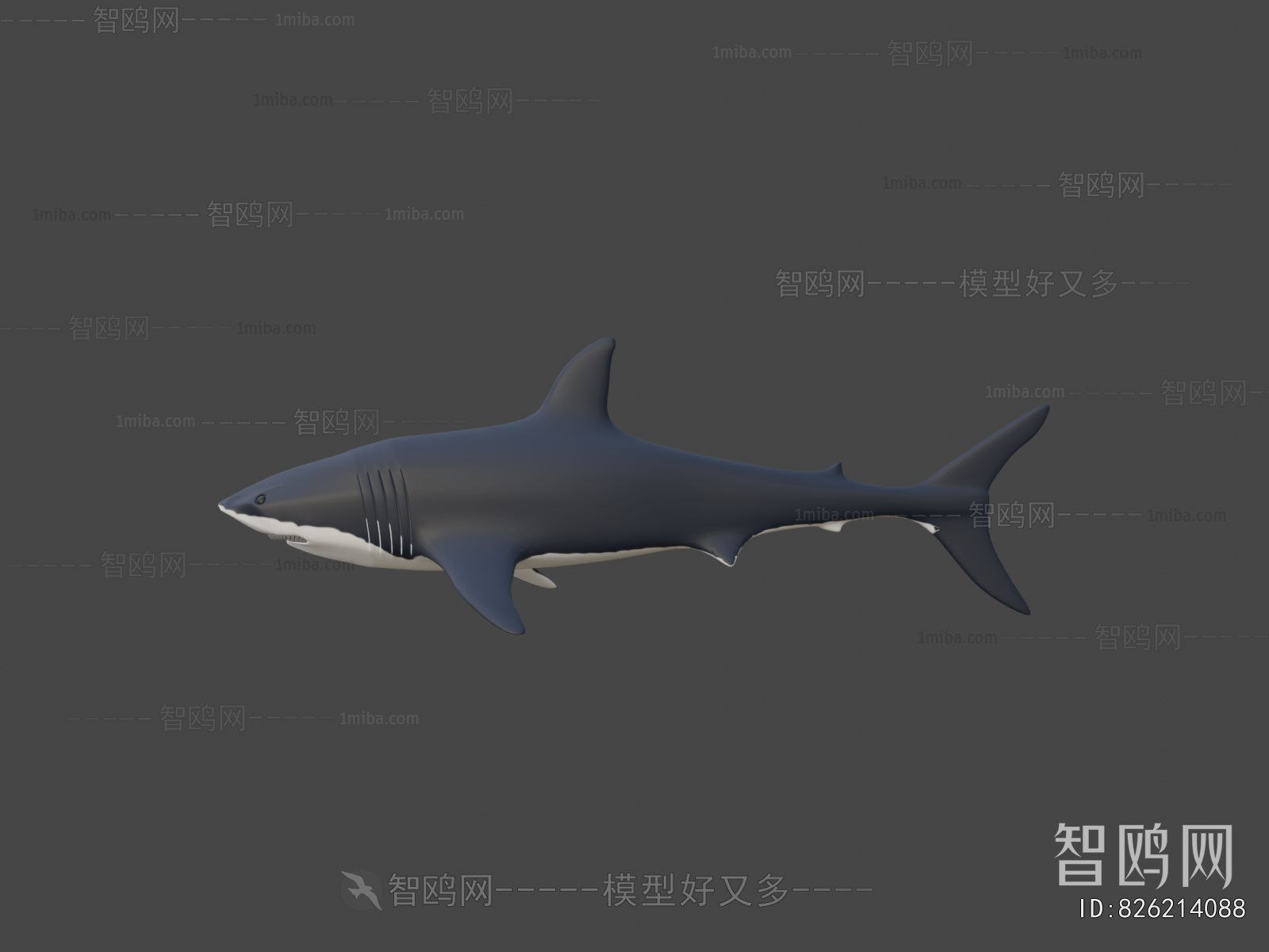 Modern Aquatic Animals