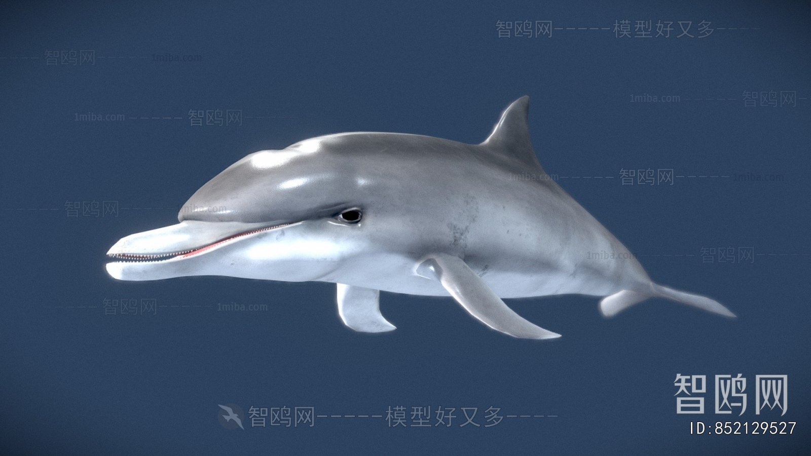 Modern Aquatic Animals