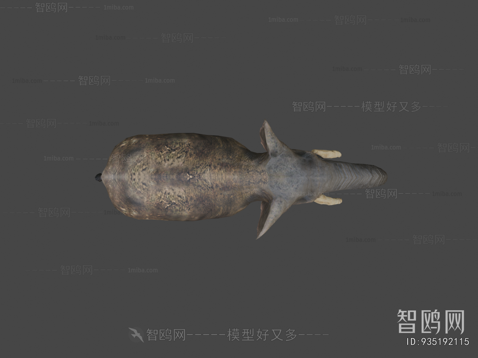 Modern Other Animals