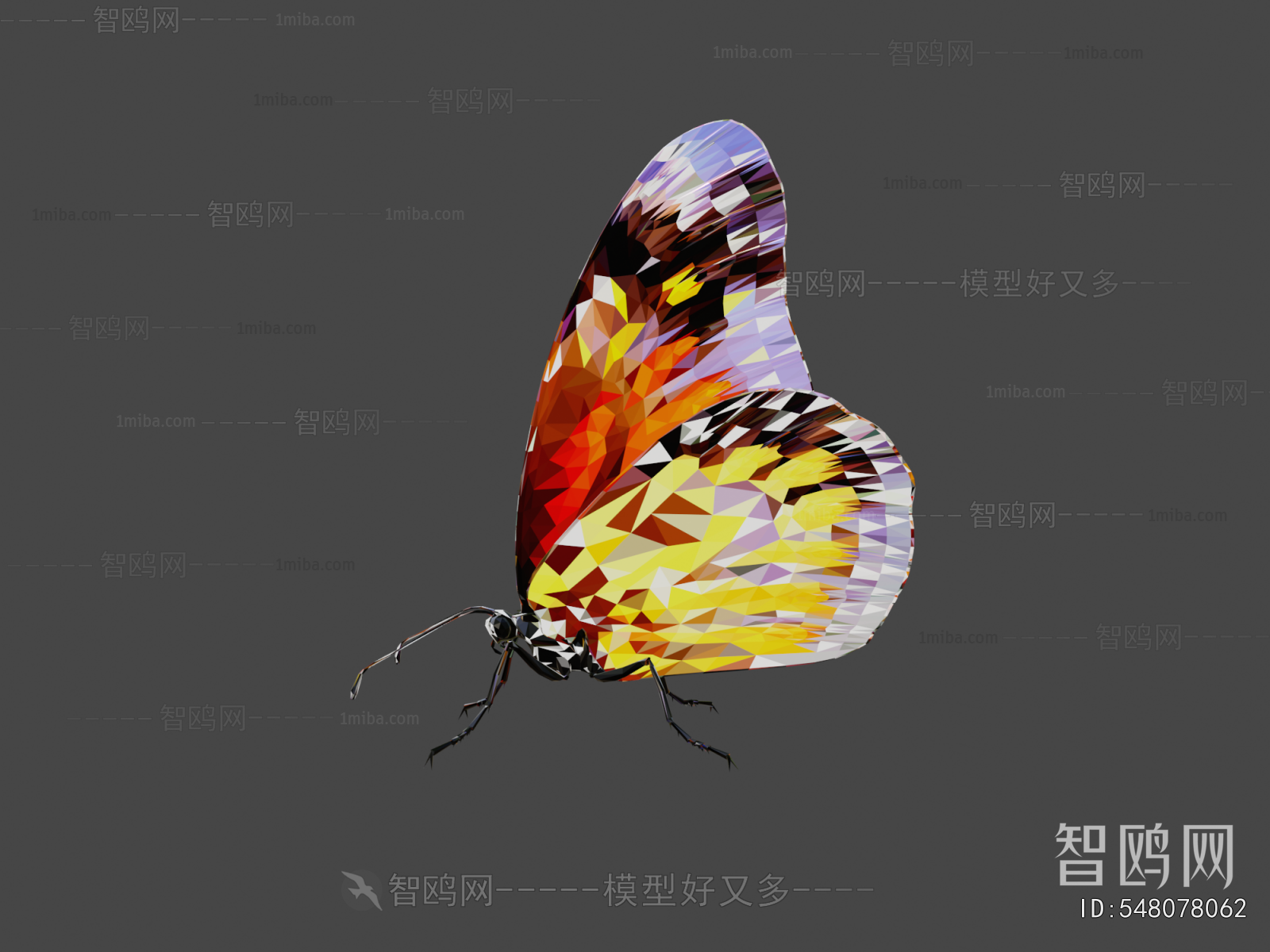 Modern Flying Animals