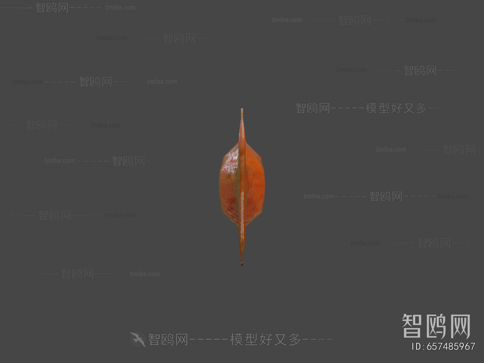 Modern Aquatic Animals