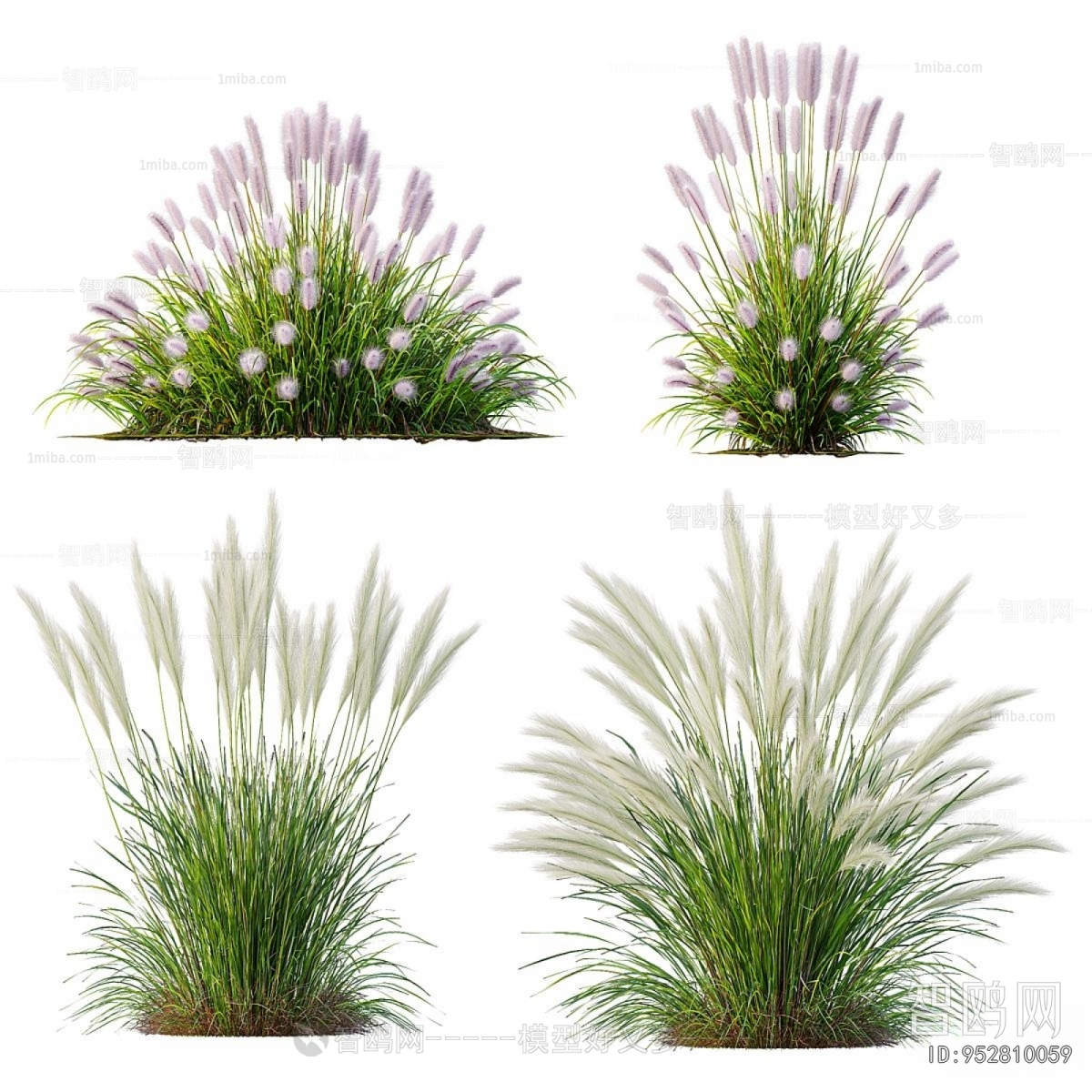 Modern Flowers And Grass