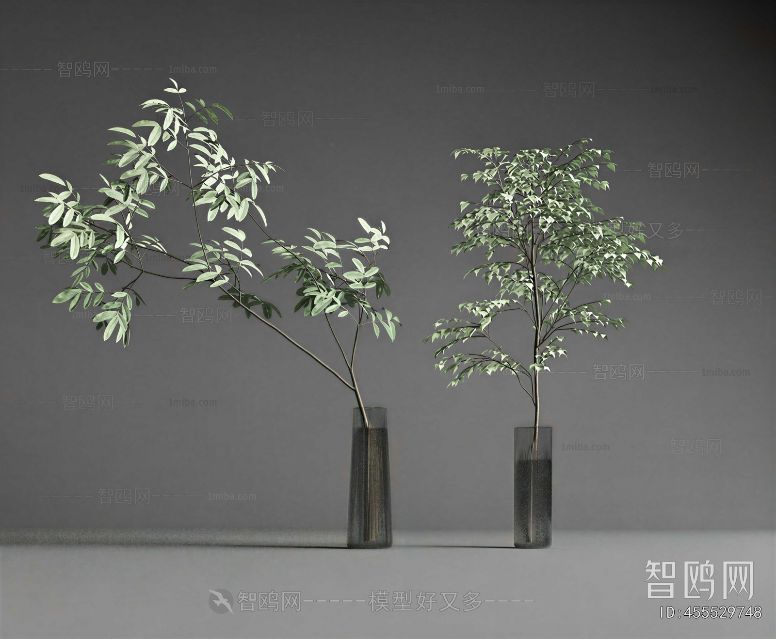 Modern Aquatic Green Plant