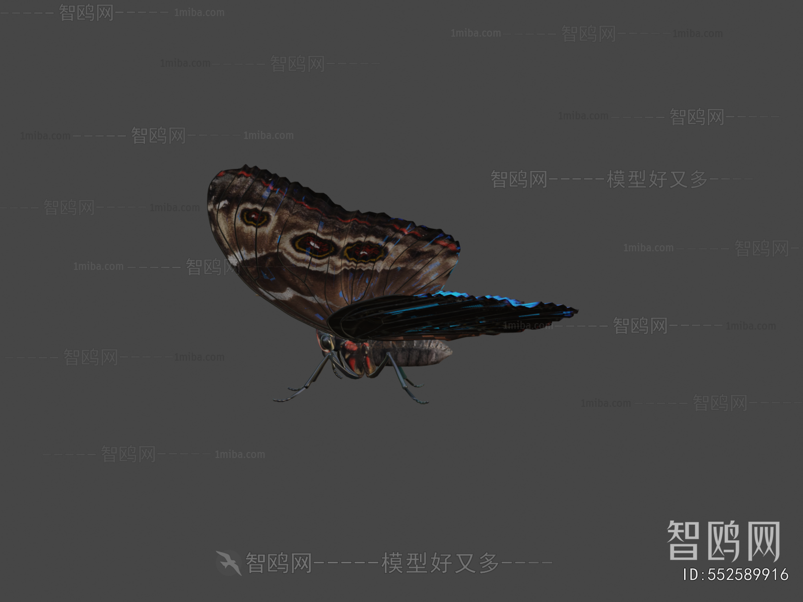 Modern Flying Animals