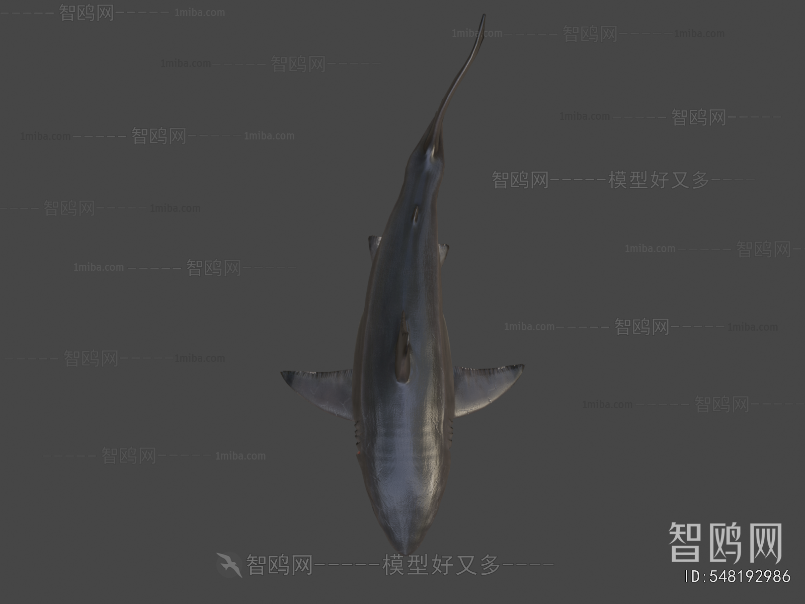 Modern Aquatic Animals