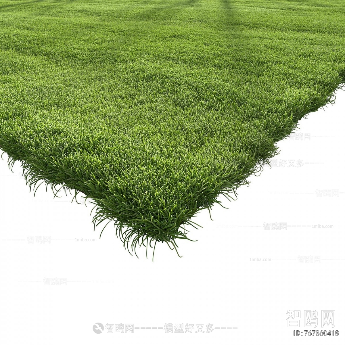 Modern The Grass
