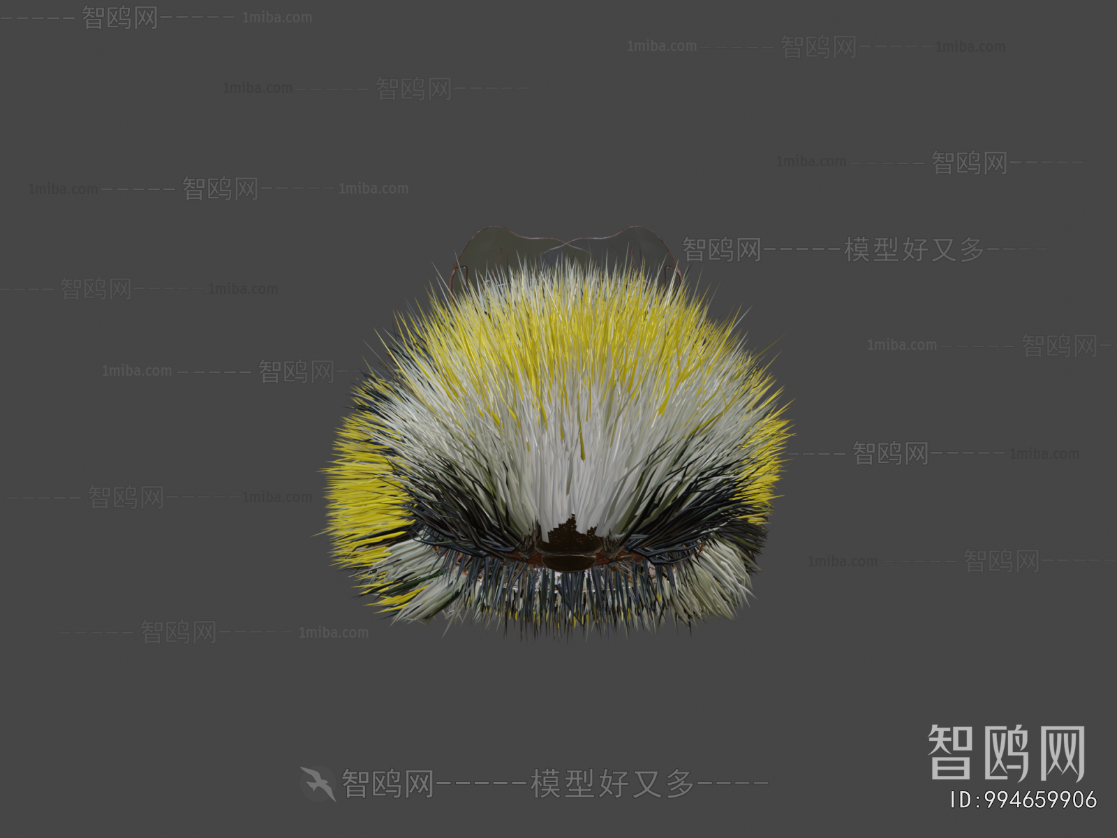 Modern Flying Animals