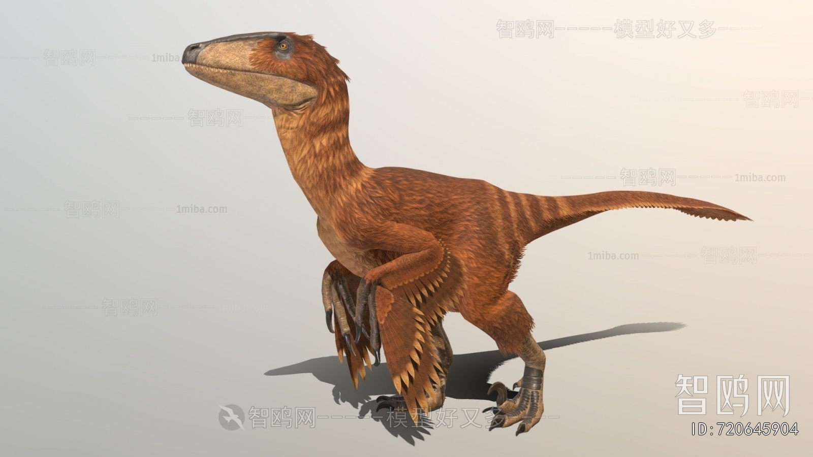 Modern Other Animals