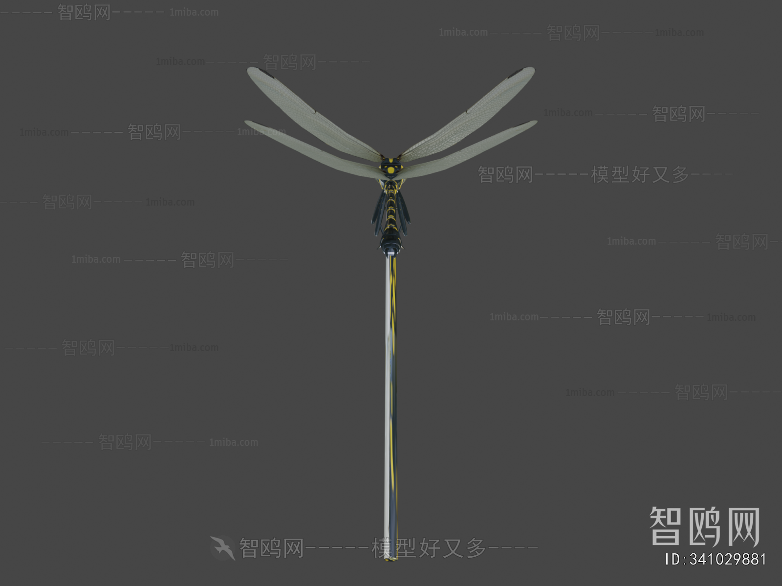 Modern Flying Animals