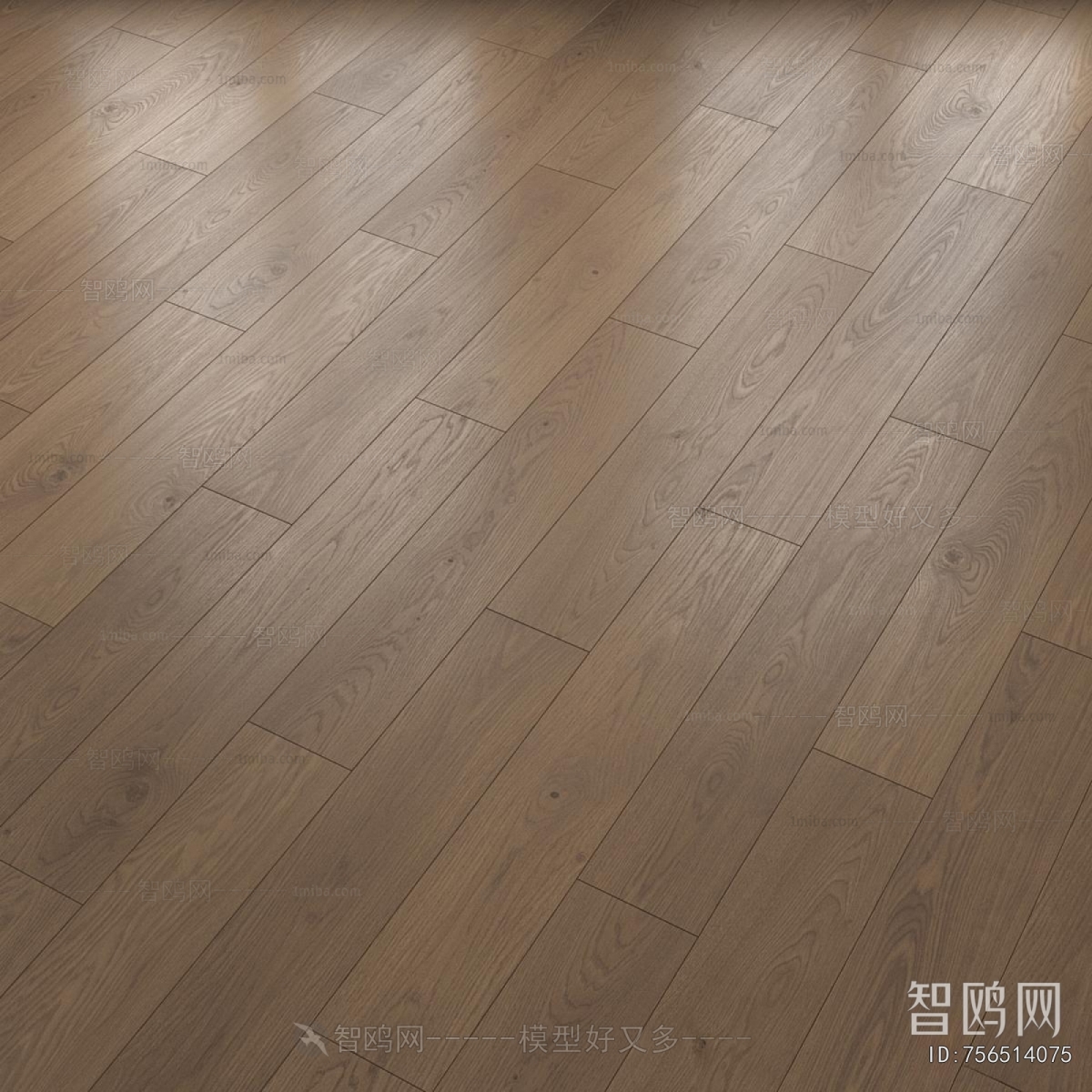 Modern Floor