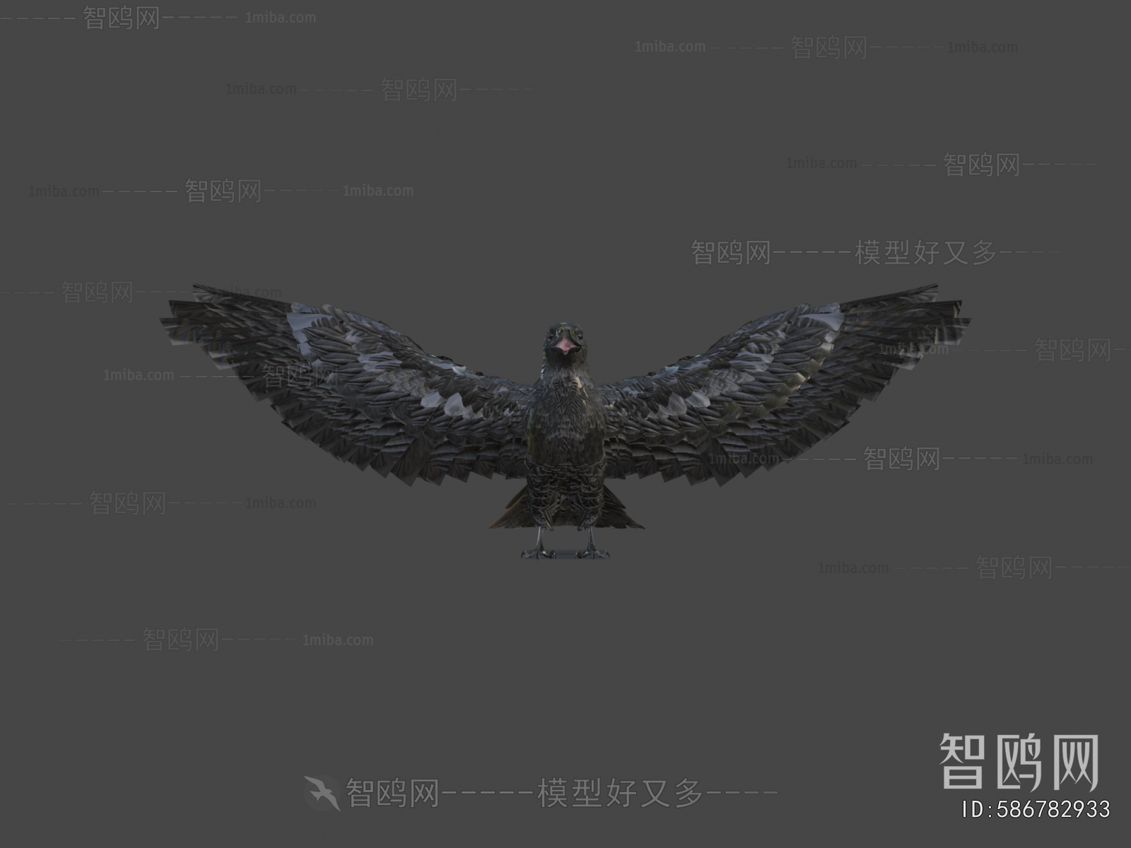 Modern Flying Animals