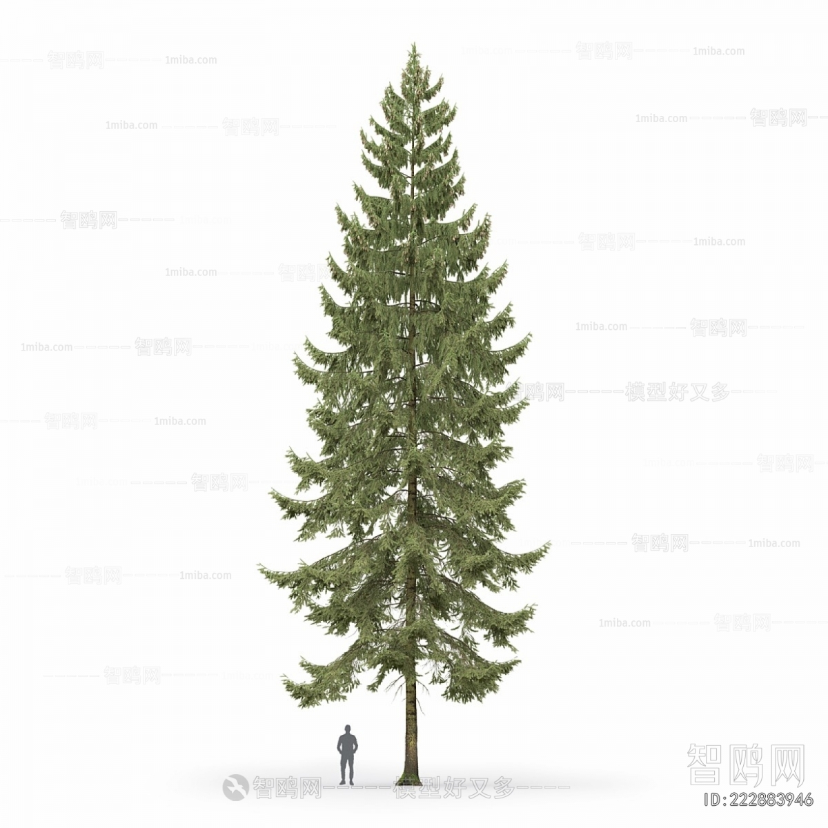 Modern Tree/shrub/grass