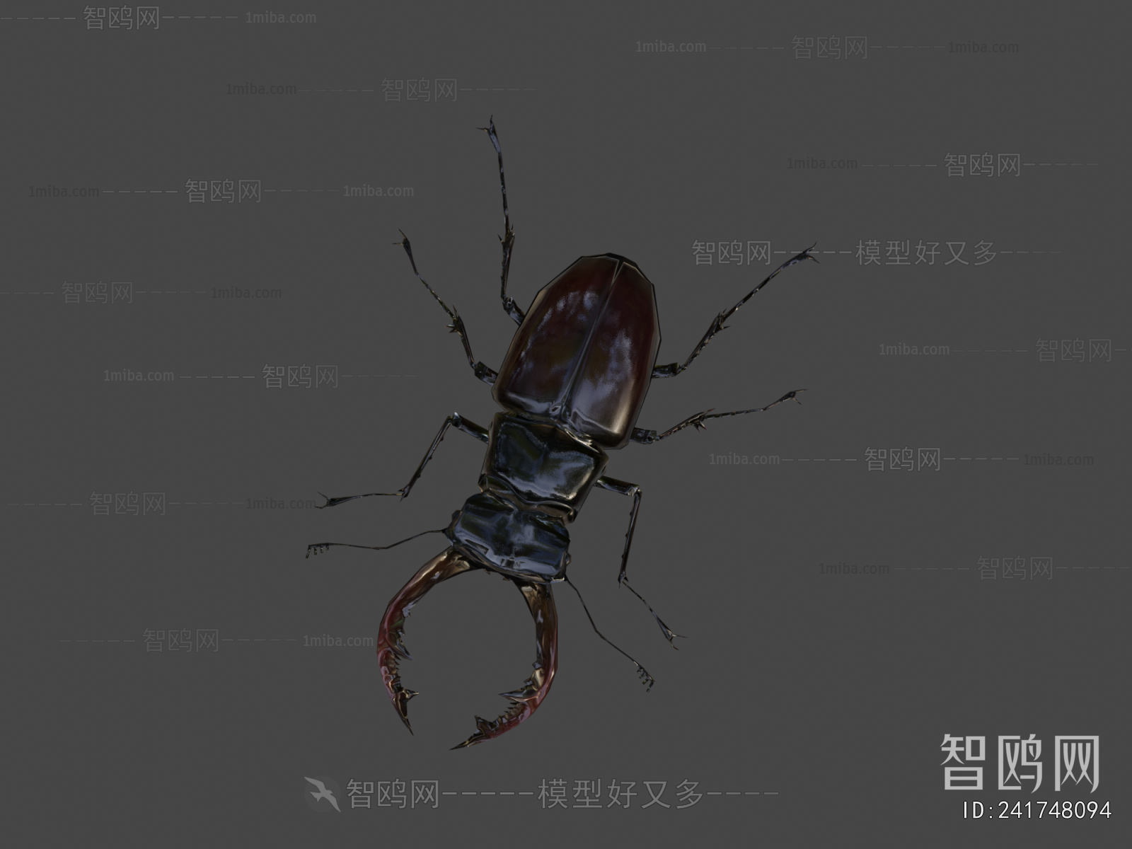 Modern Flying Animals