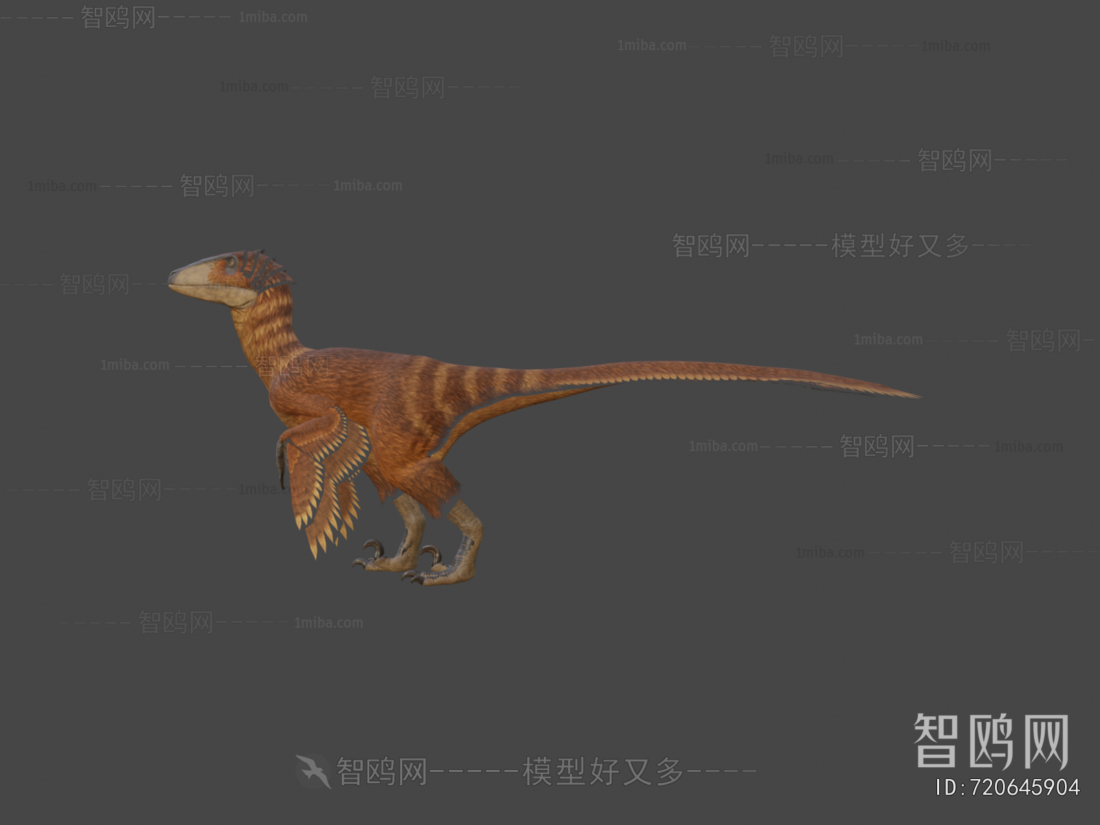 Modern Other Animals