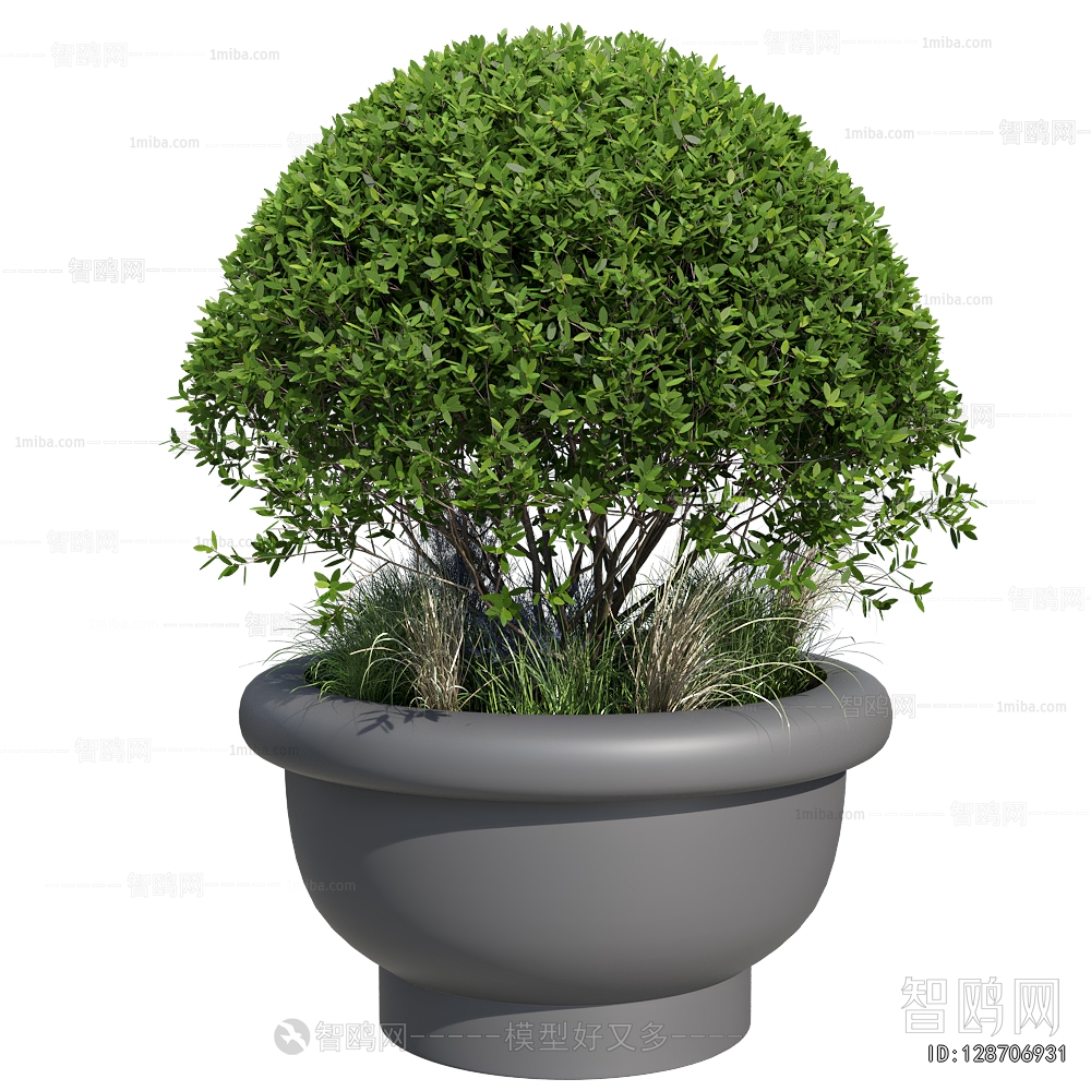 Modern Flower Bed, Flower Bowl, Flower Box