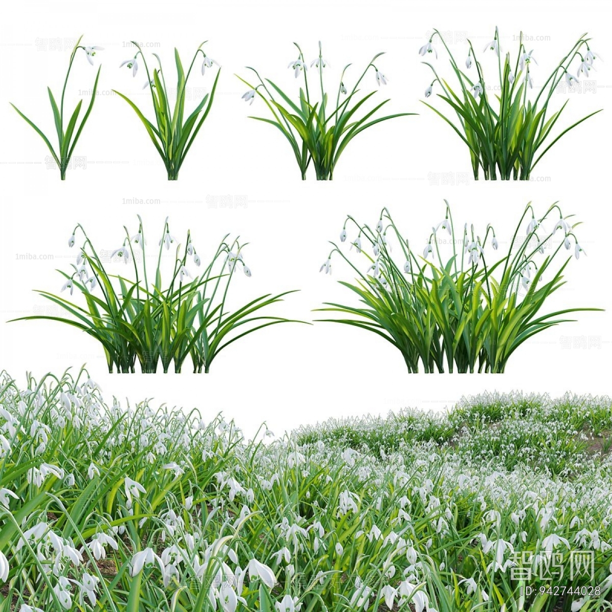 Modern Flowers And Grass