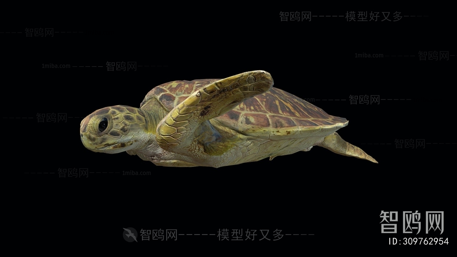 Modern Aquatic Animals