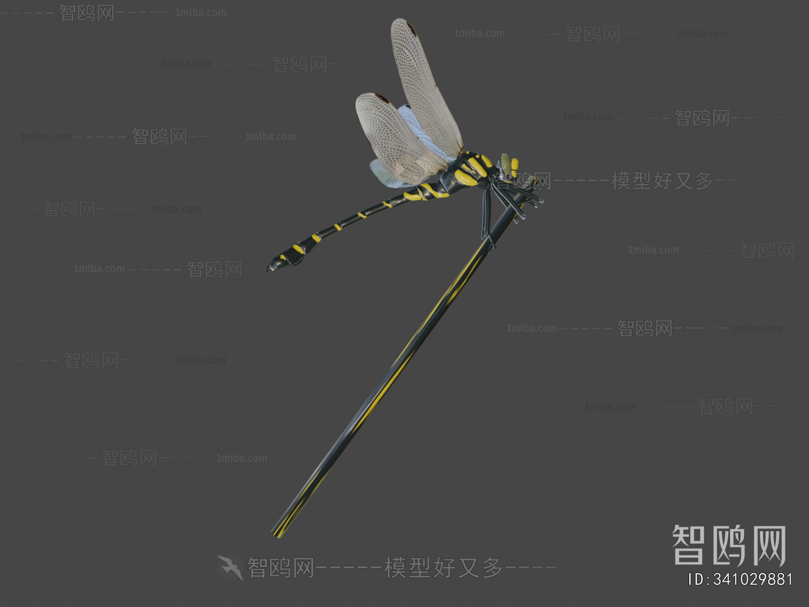 Modern Flying Animals