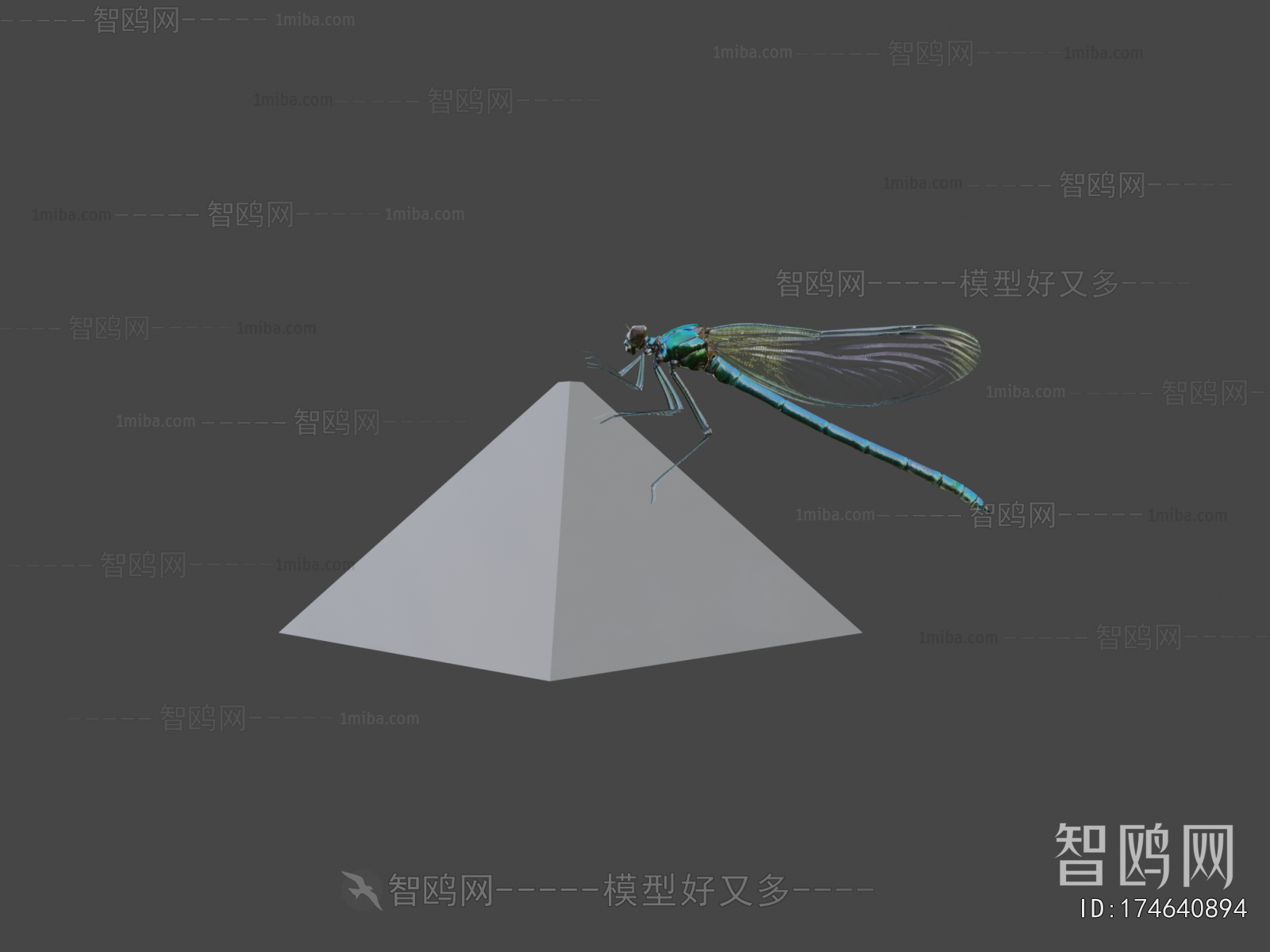 Modern Flying Animals