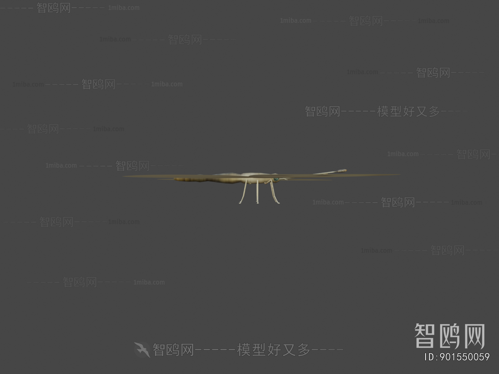 Modern Flying Animals