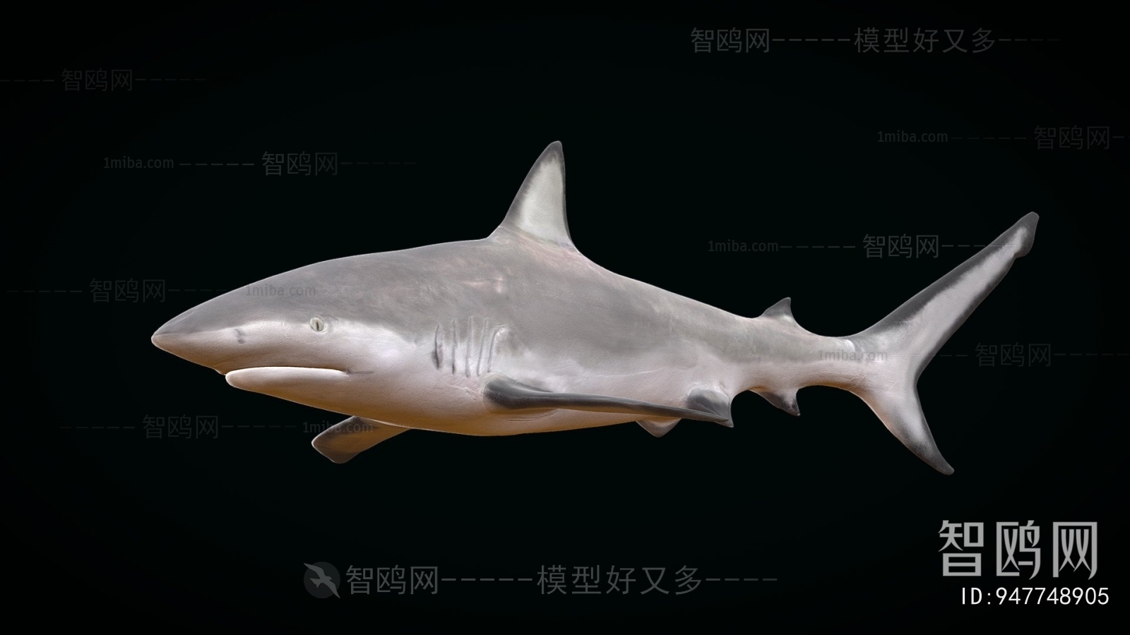 Modern Aquatic Animals