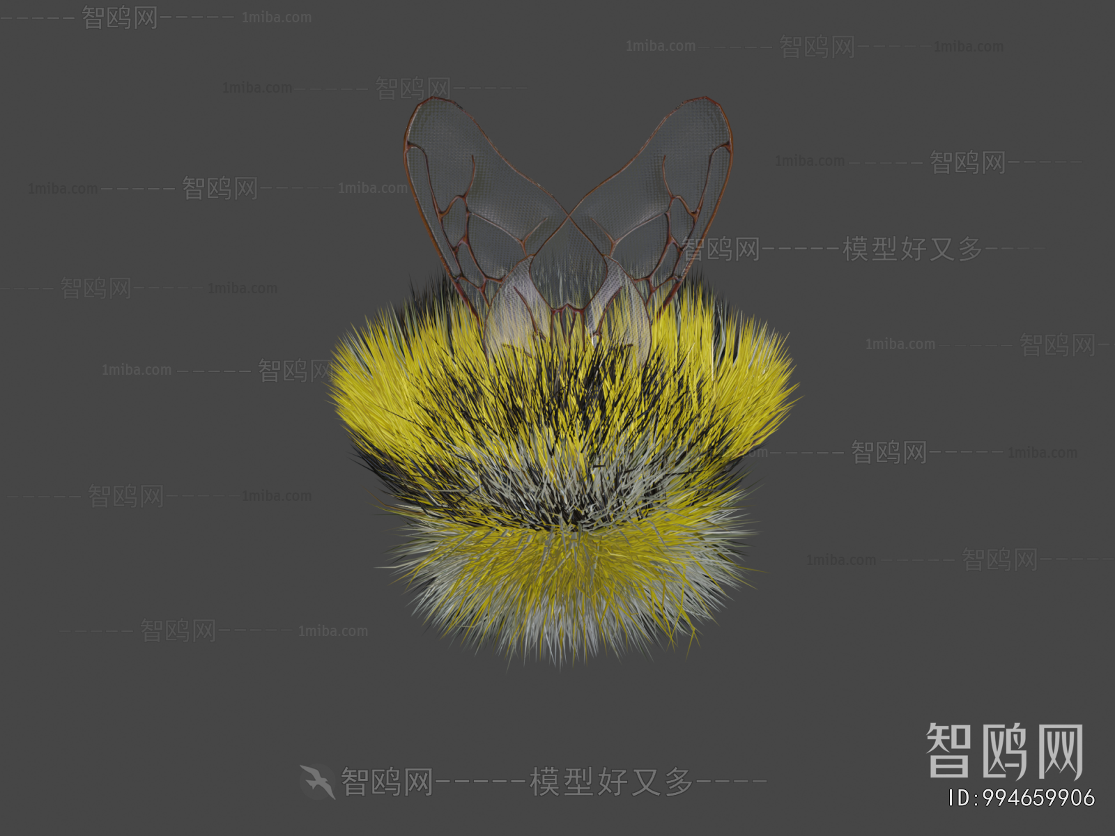 Modern Flying Animals