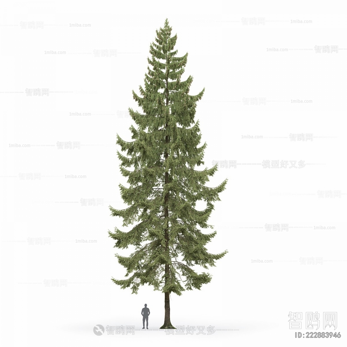 Modern Tree/shrub/grass