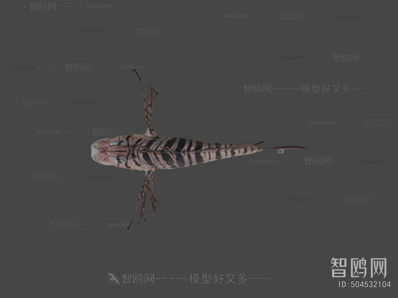 Modern Aquatic Animals