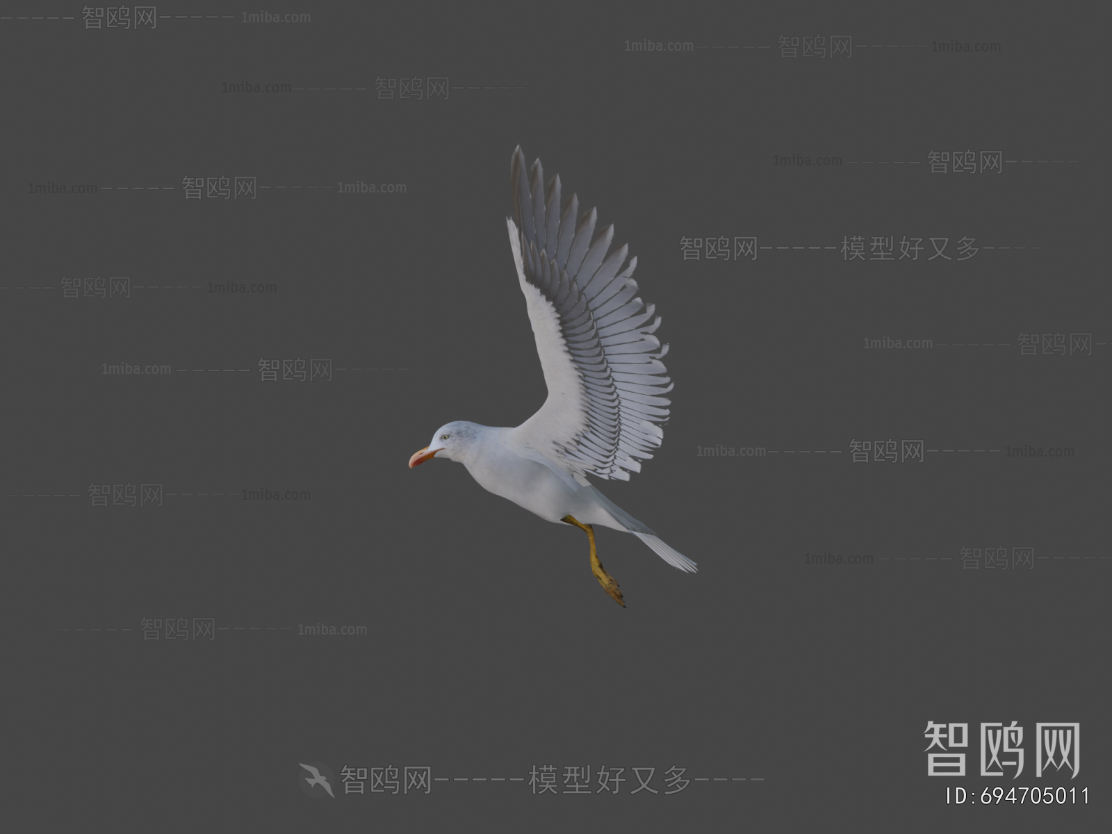 Modern Flying Animals