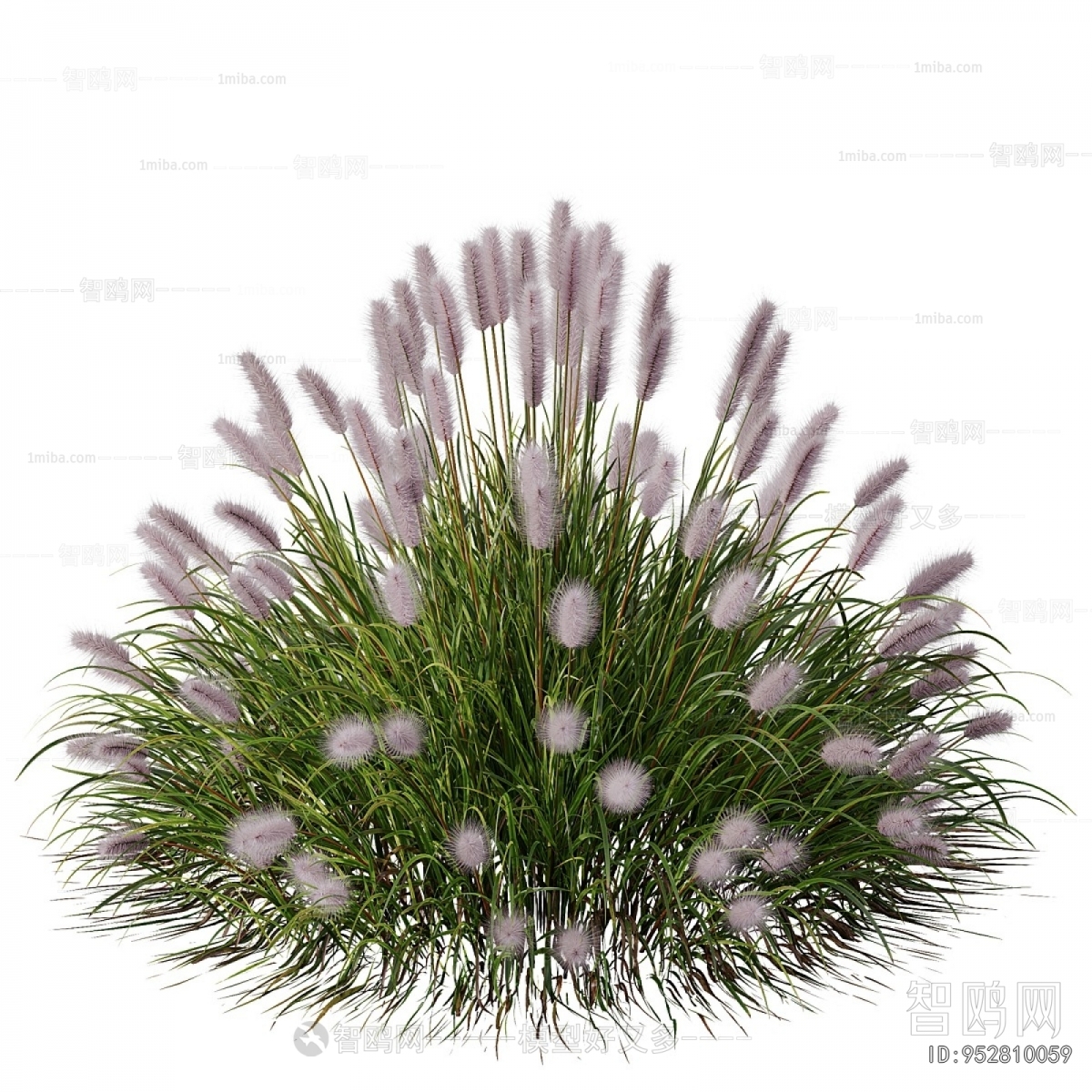 Modern Flowers And Grass