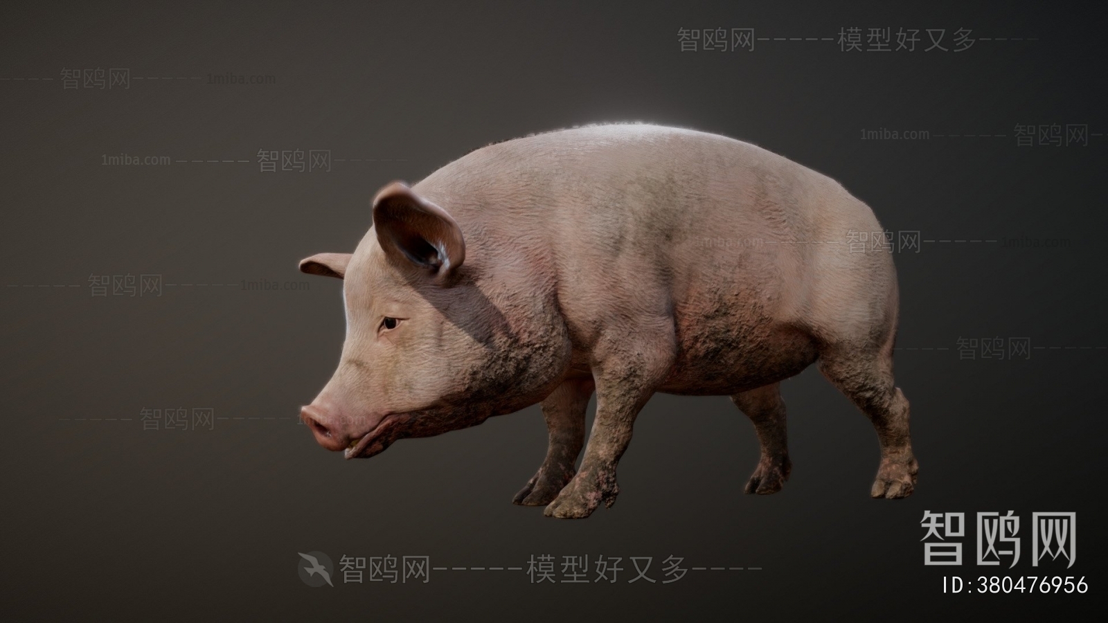 Modern Animal Pig