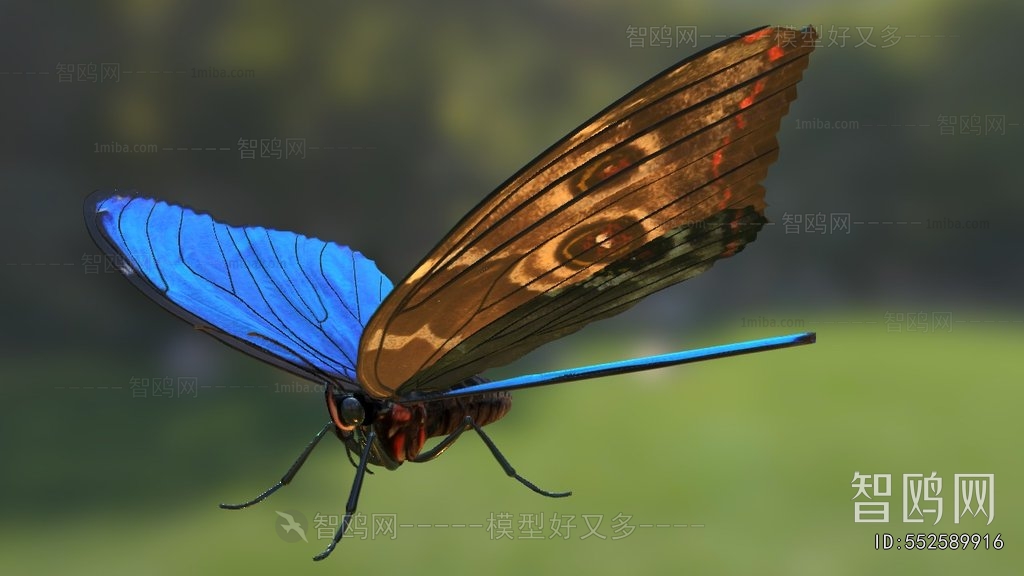 Modern Flying Animals