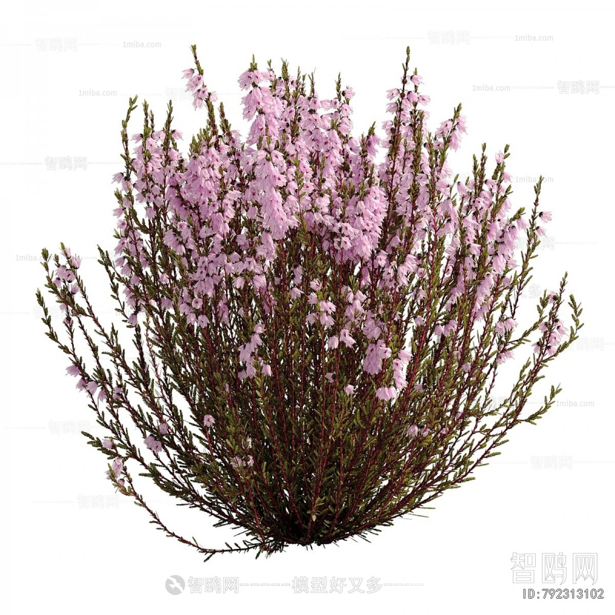 Modern Flowers And Grass