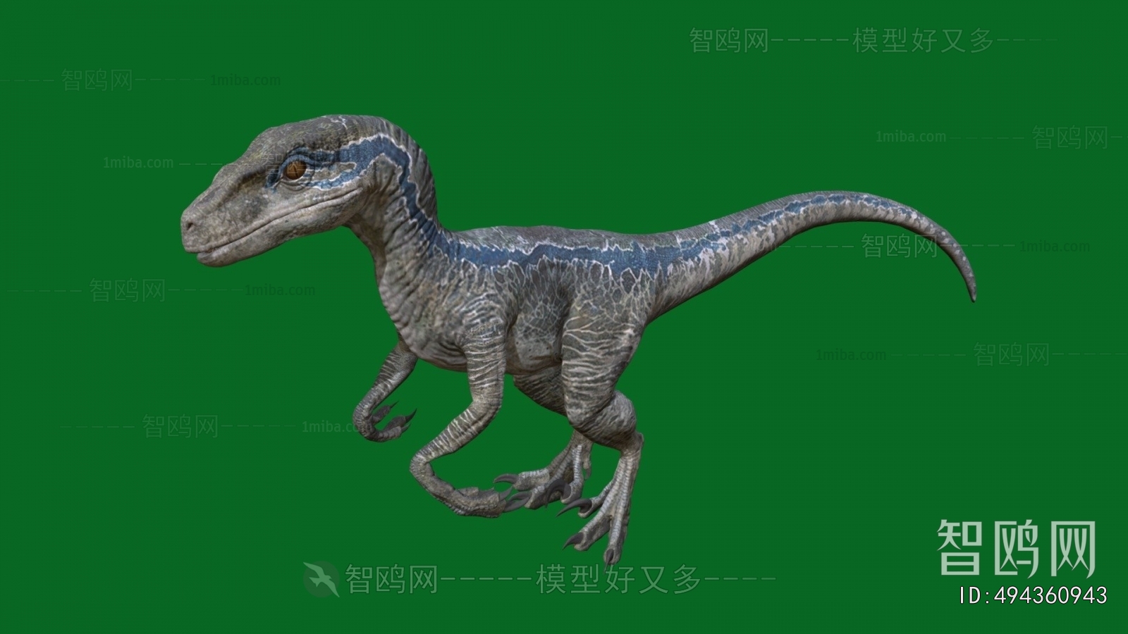 Modern Other Animals