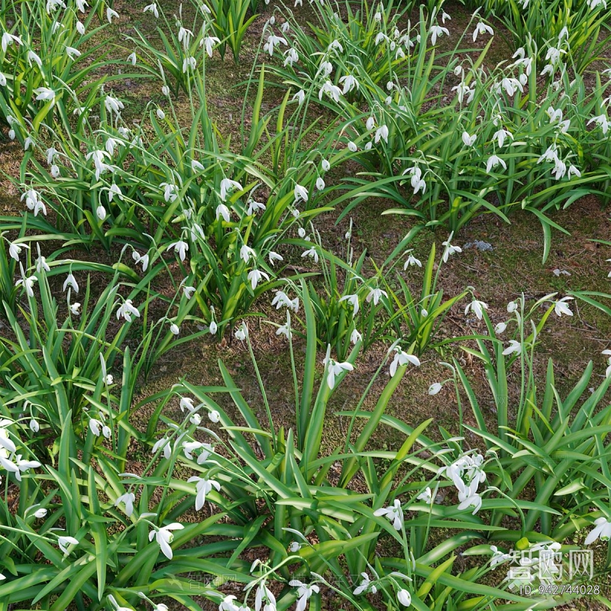 Modern Flowers And Grass