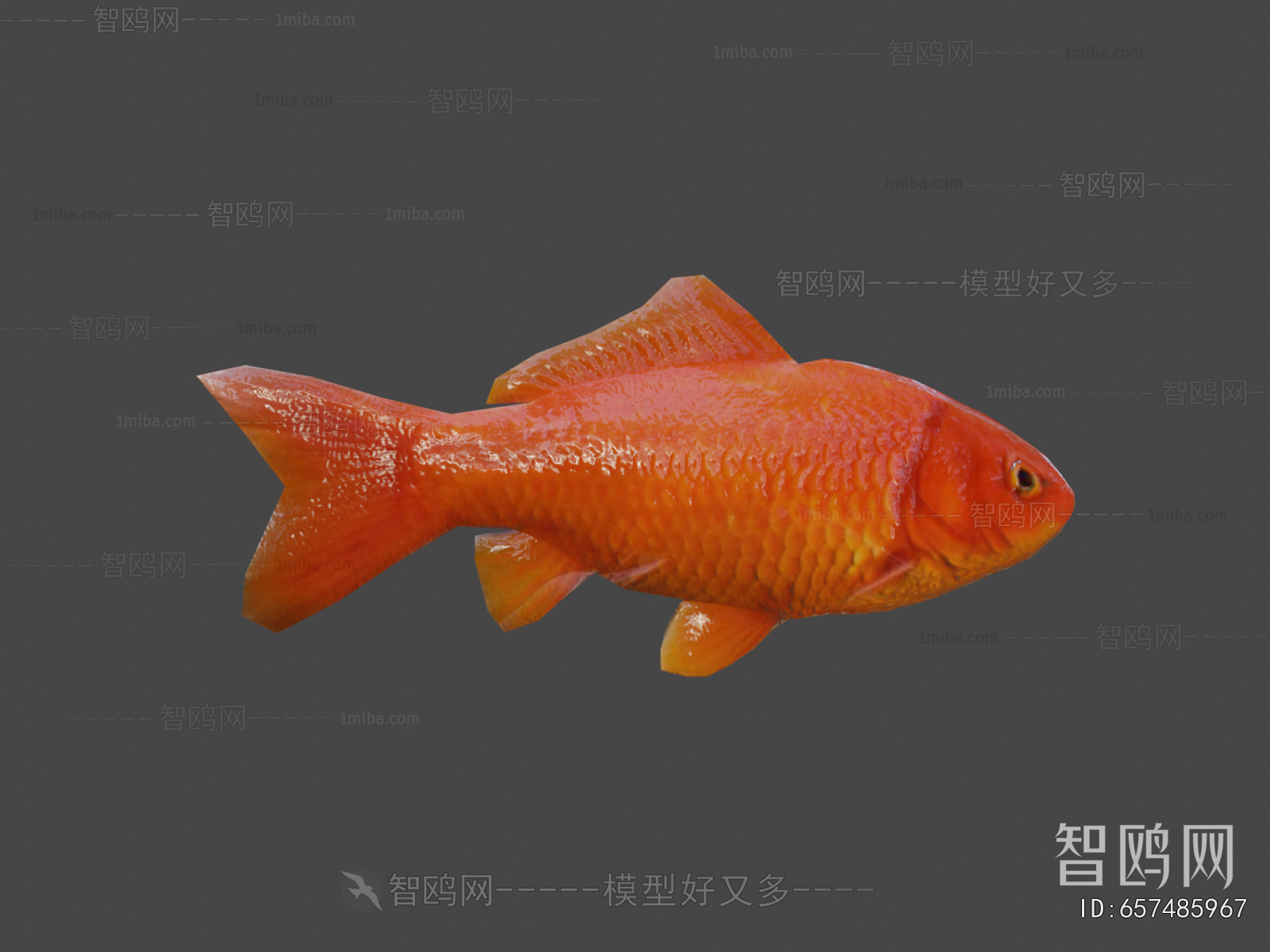 Modern Aquatic Animals