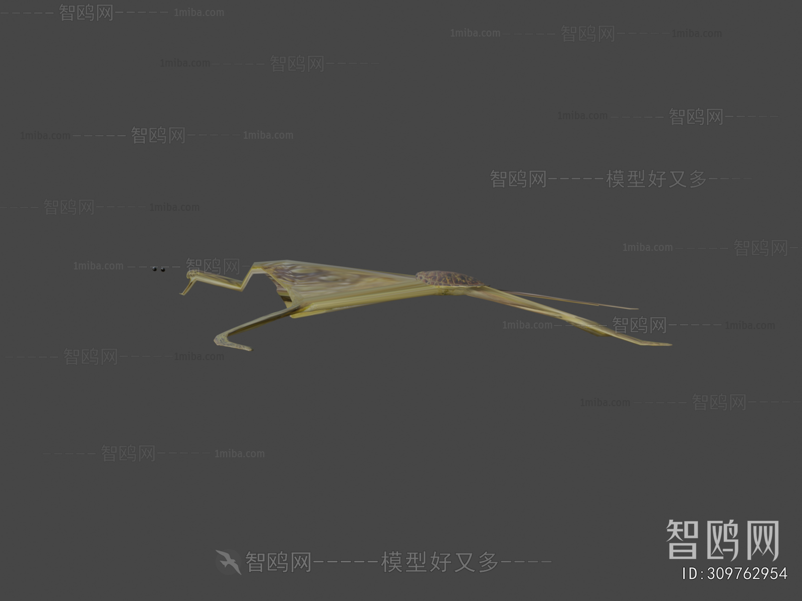 Modern Aquatic Animals