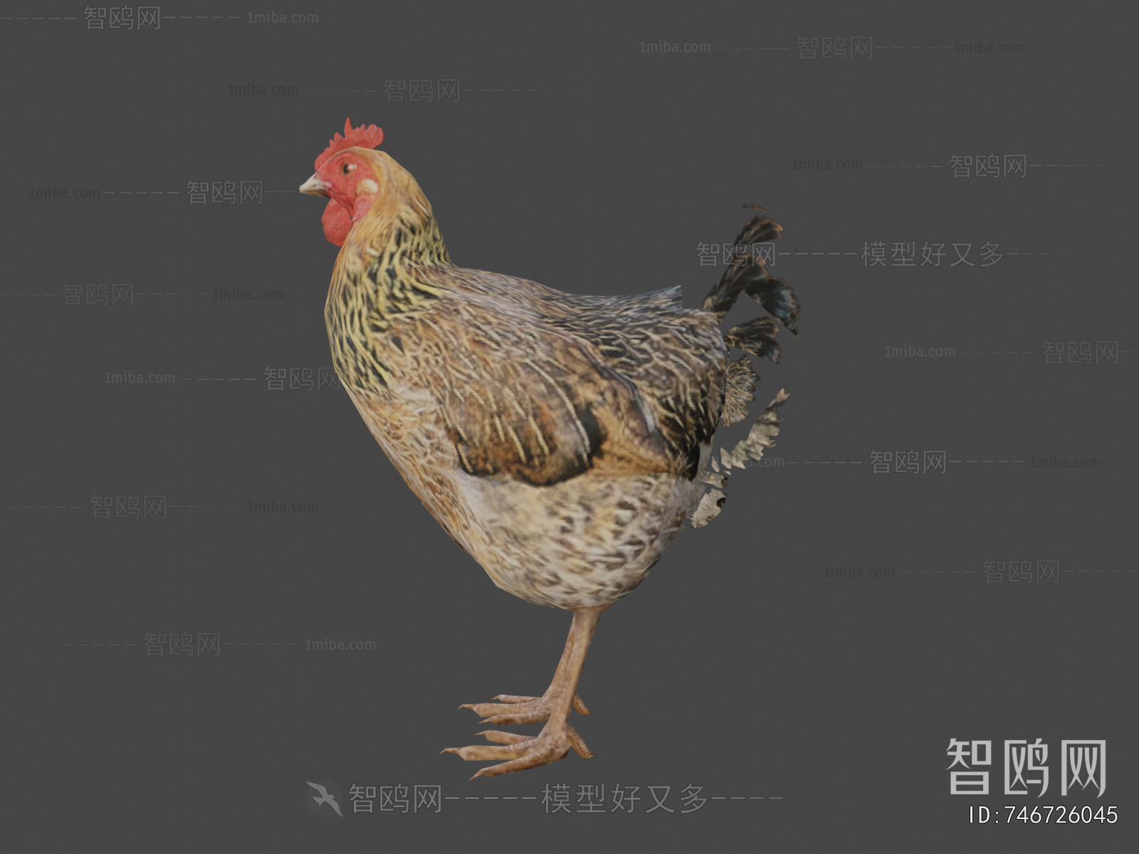 Modern Poultry Animal