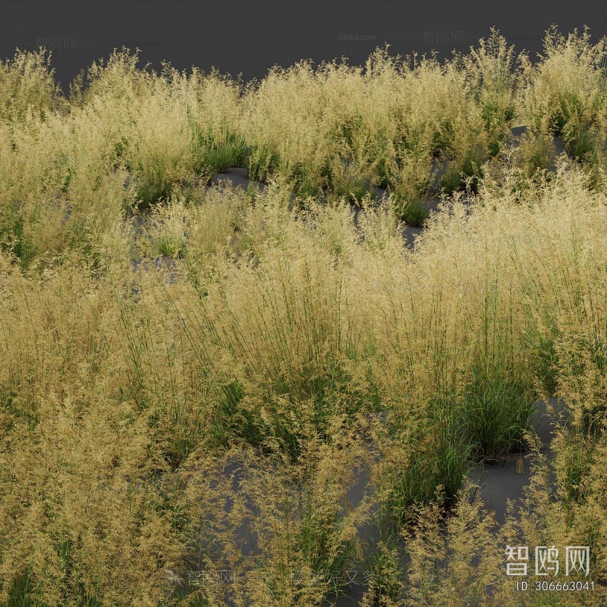 Modern Flowers And Grass