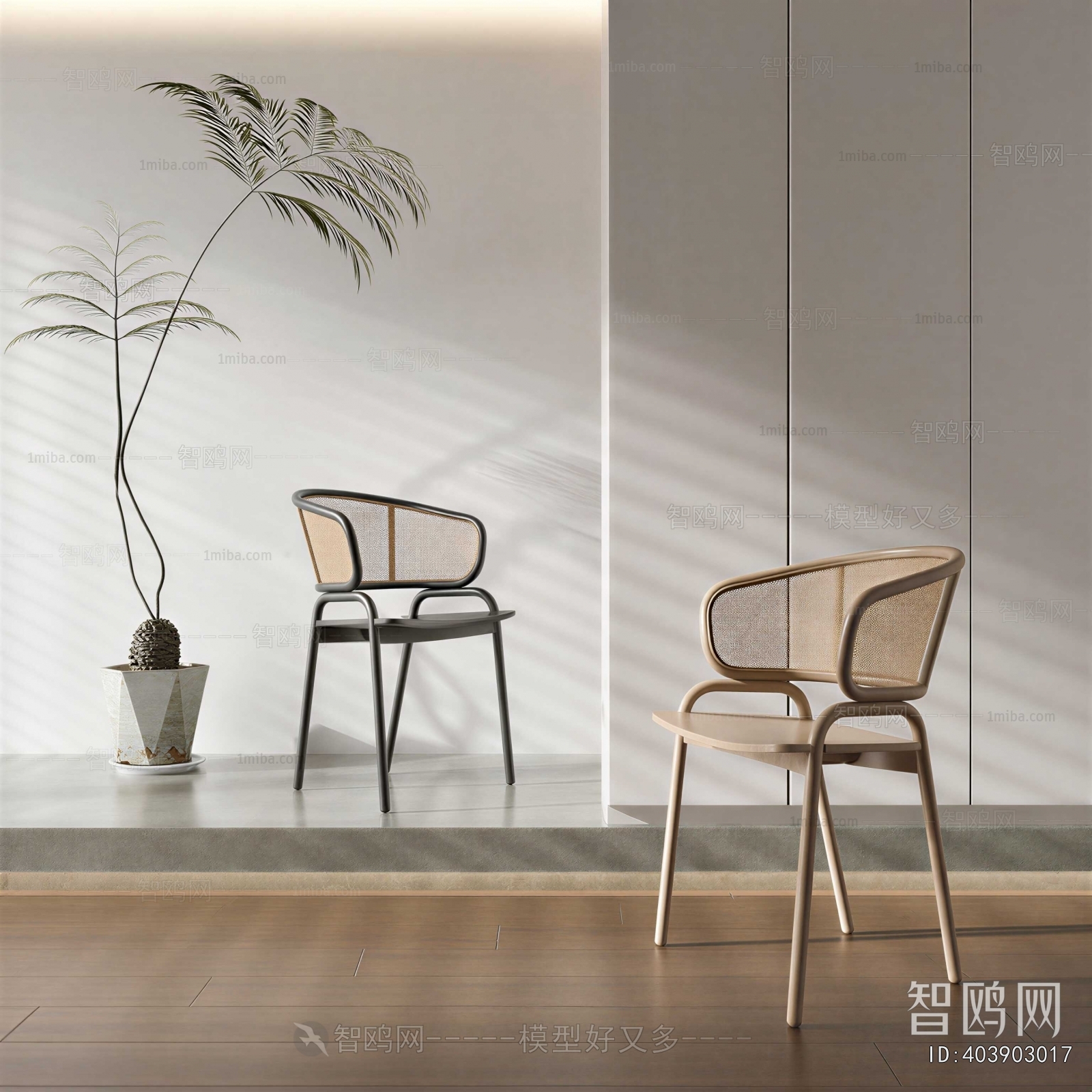 Modern Dining Chair