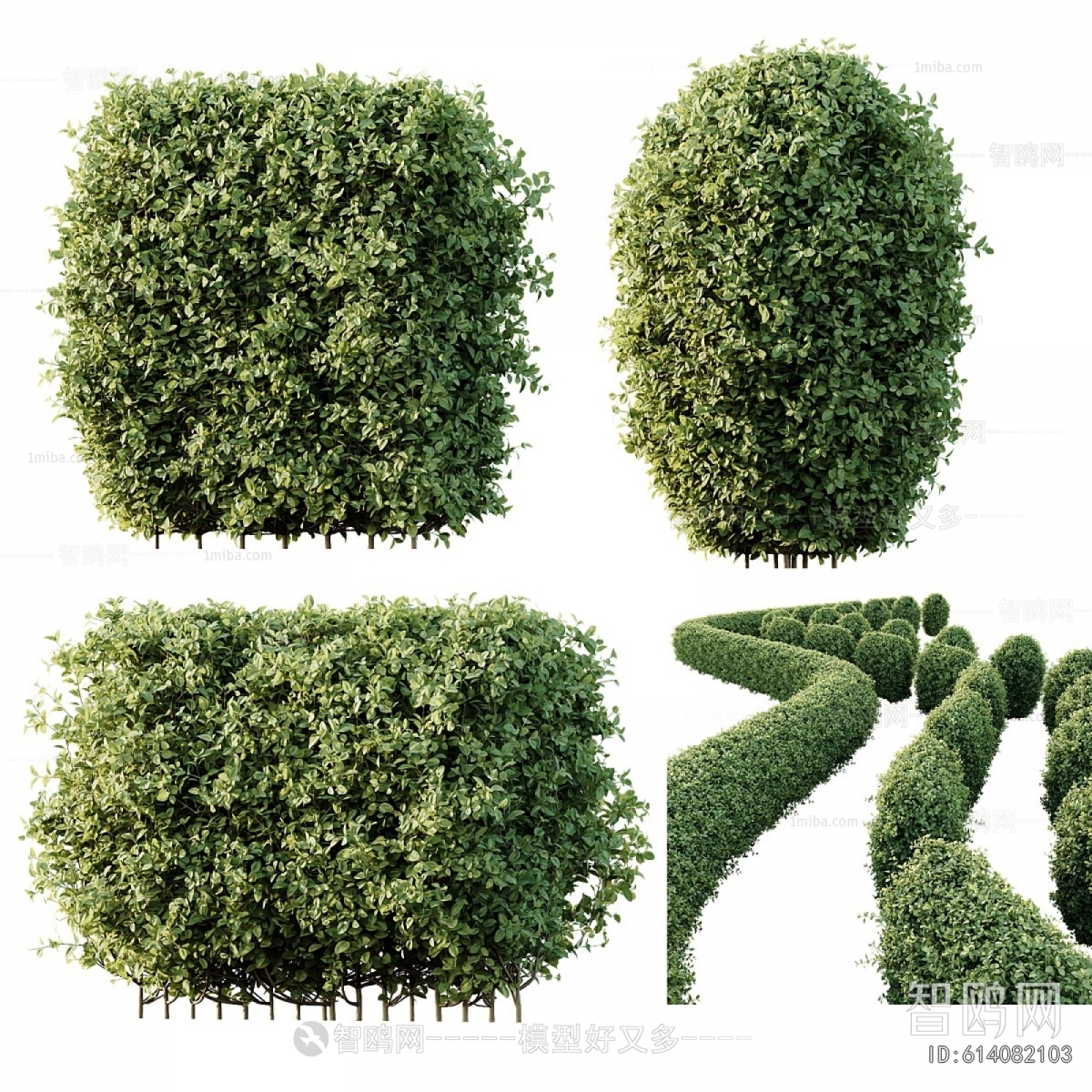 Modern Shrubbery