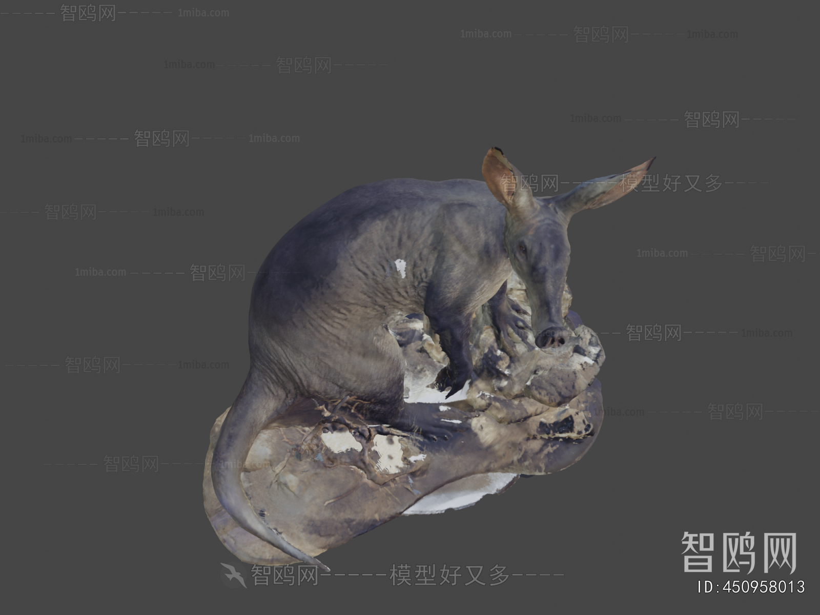 Modern Other Animals