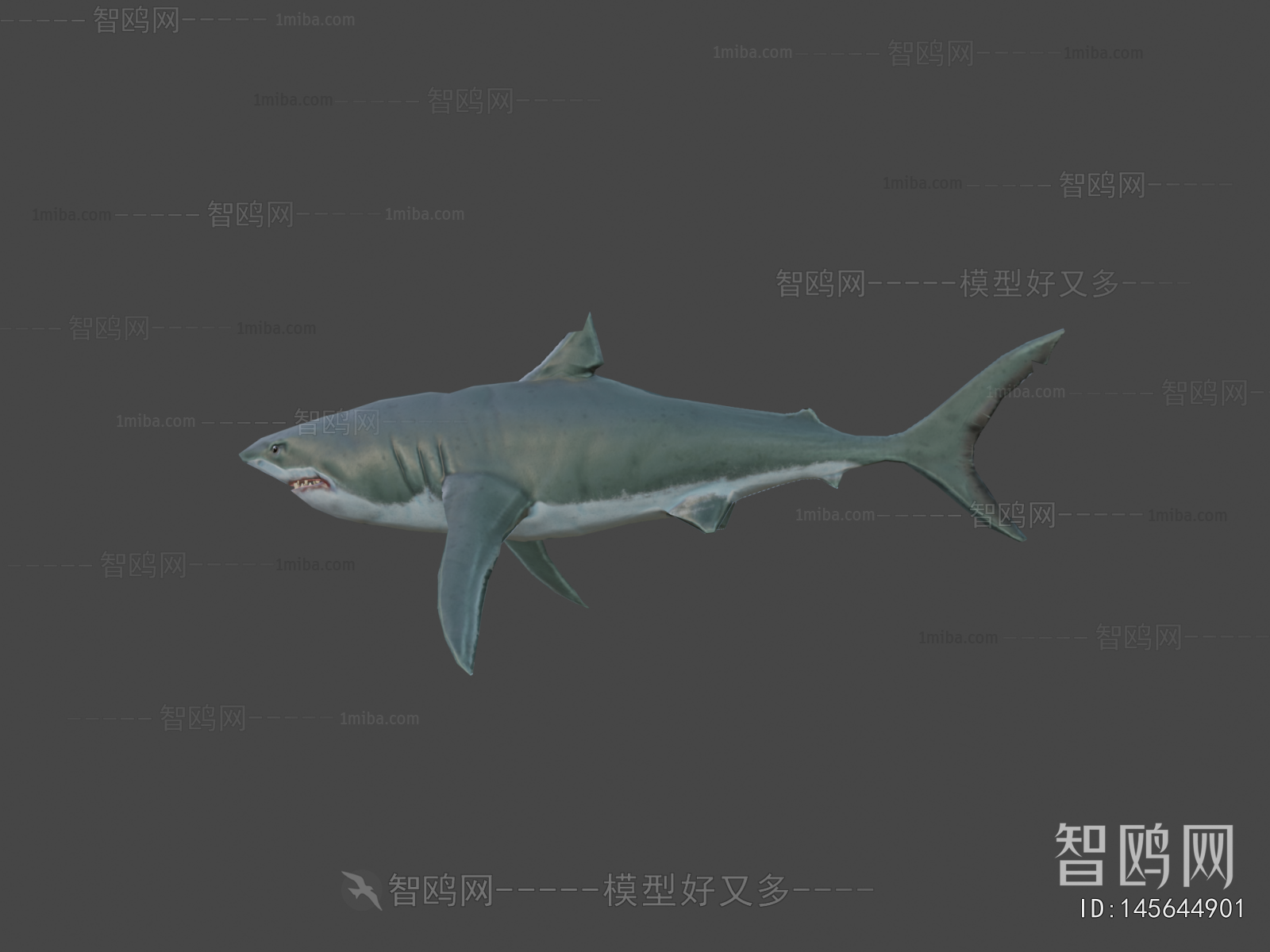 Modern Aquatic Animals