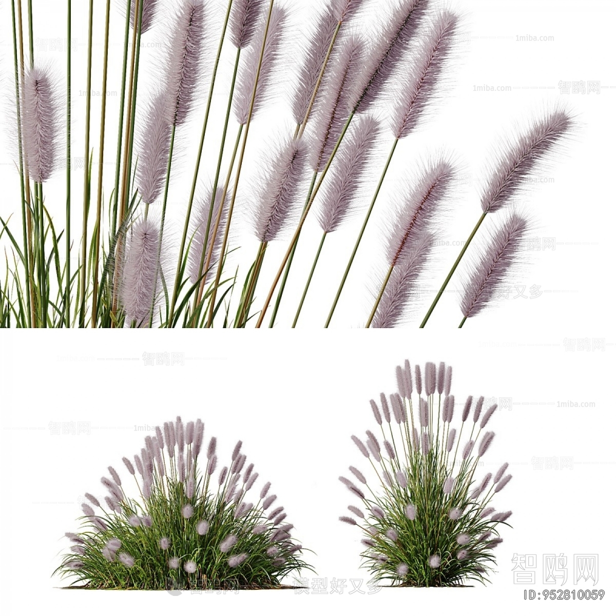 Modern Flowers And Grass